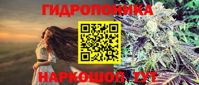 мяу мяу мука Кудрово