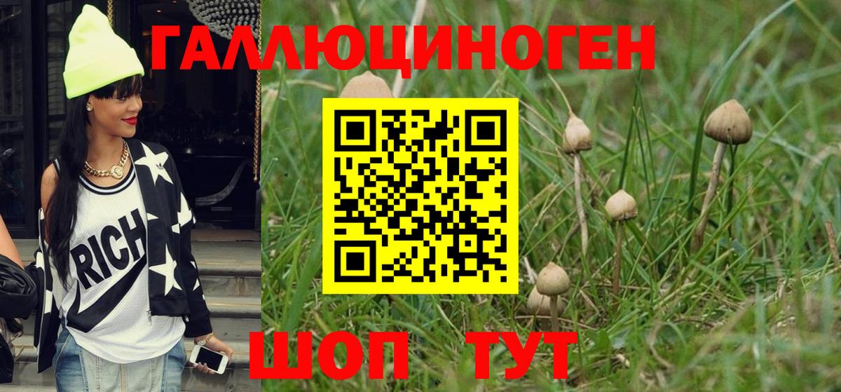 Псилоцибиновые грибы ЛСД Бахчисарай