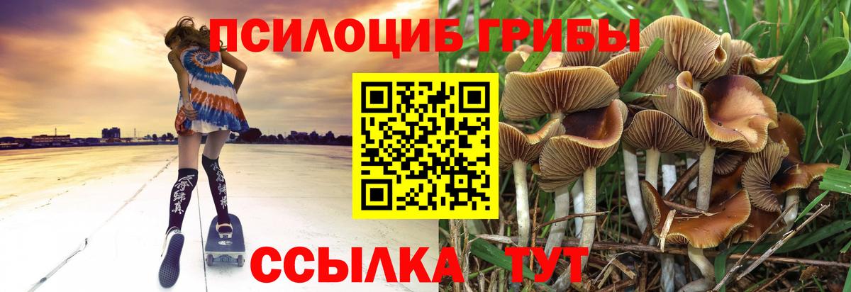 Псилоцибиновые грибы ЛСД  Вход с VPN  Бахчисарай 