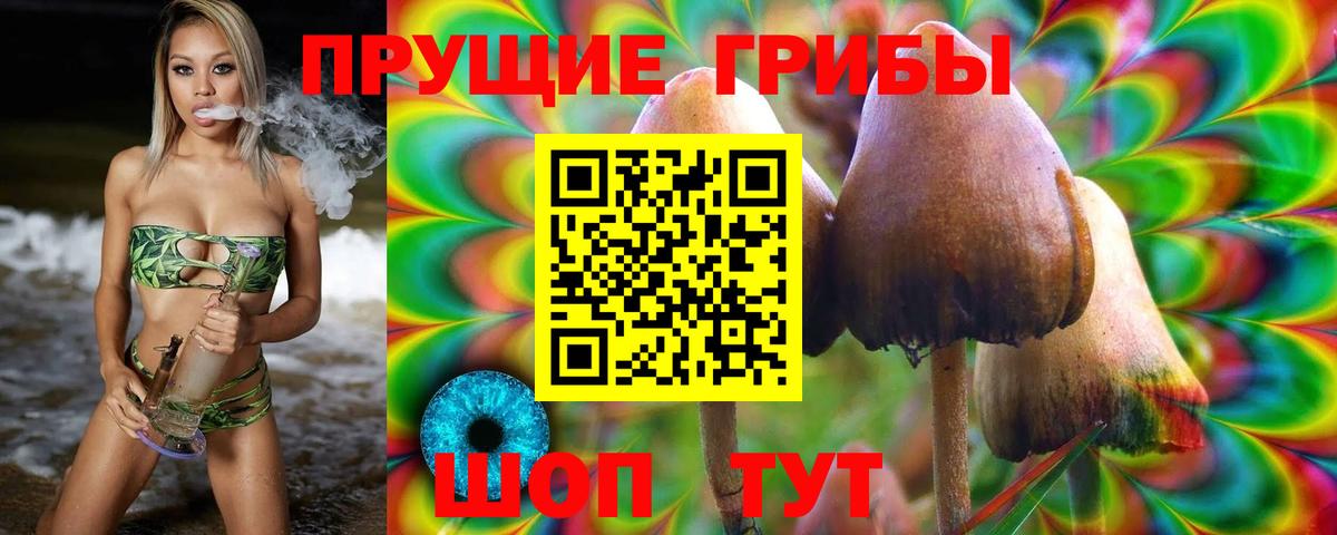 Галлюциногенные грибы Psilocybine cubensis Бахчисарай